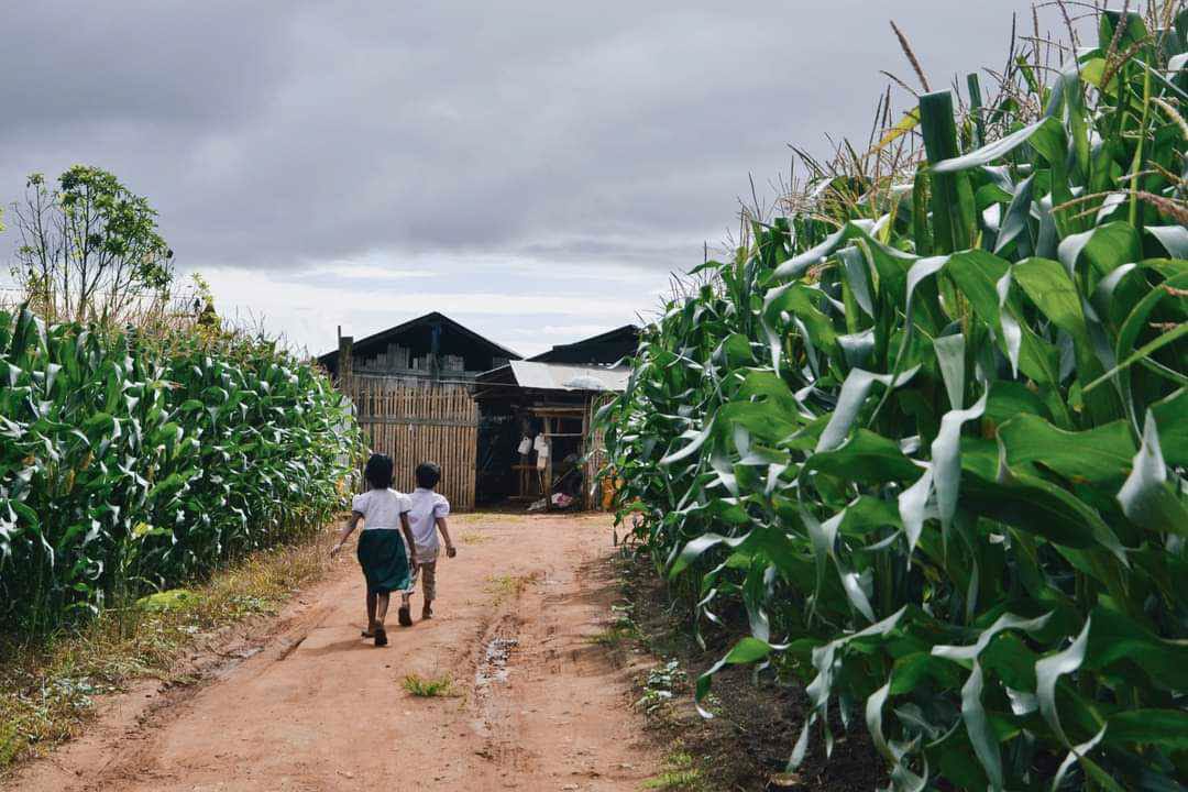 【漂流異鄉的泰緬邊境孩童，哪兒上學去？】 Where do children who drift at the Thai-Myanmar border go to school?